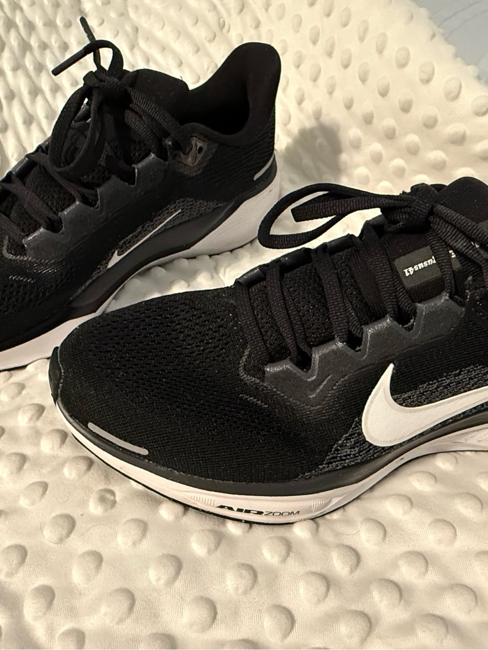 Nike air zoom Pegasus 41